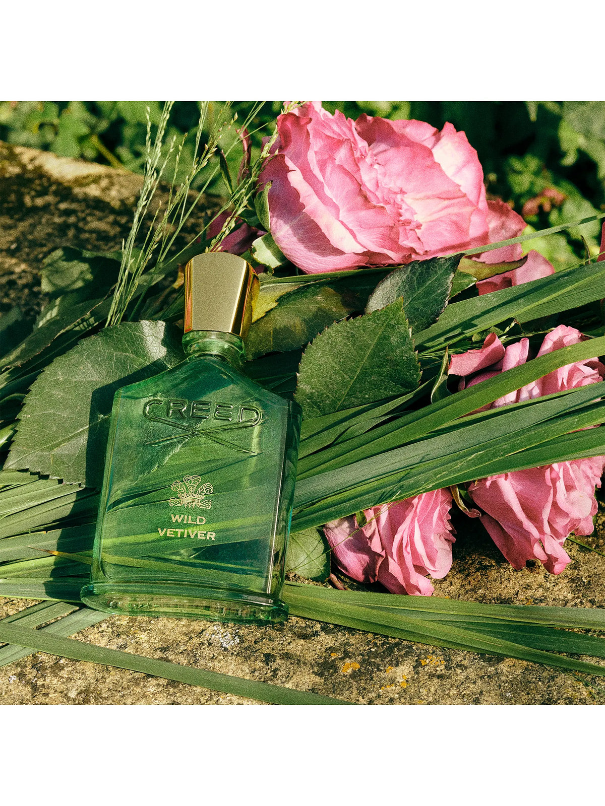 WILD VETIVER CREED 3.4