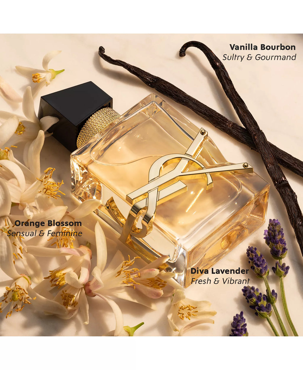 Libre Eau de Parfum en spray, 3 onzas   Yves Saint Laurent